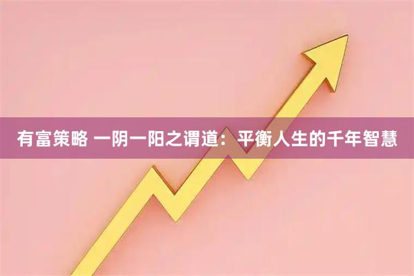 有富策略 一阴一阳之谓道：平衡人生的千年智慧