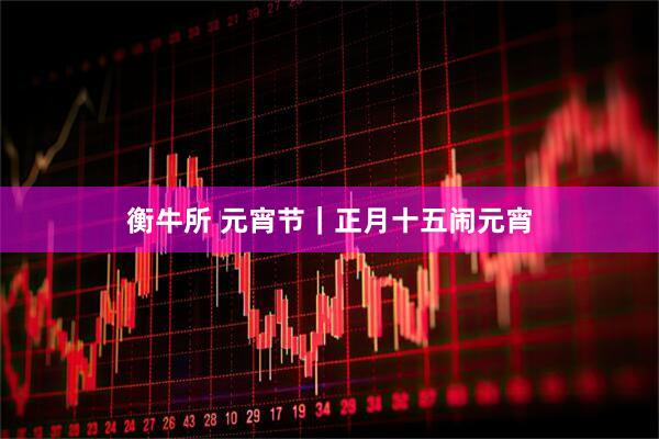 衡牛所 元宵节｜正月十五闹元宵