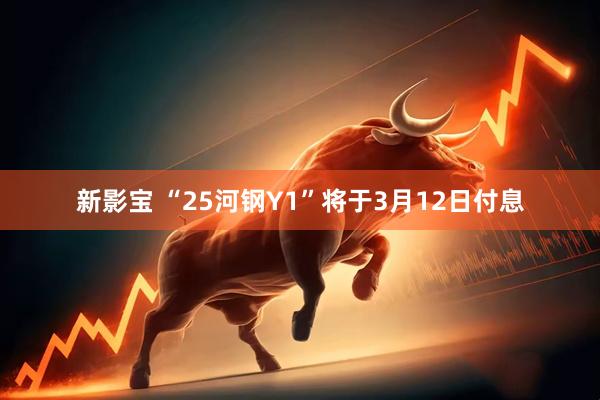 新影宝 “25河钢Y1”将于3月12日付息